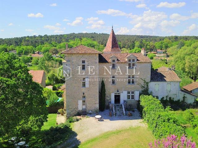 Vente Château 6 pièces 340 m2 Nérac