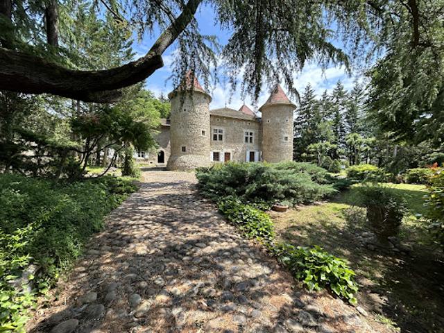 Vente Château 6 pièces 329.9 m2 Albon