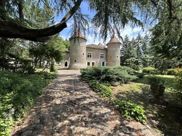 Vente Château 6 pièces 329.9 m2 Albon