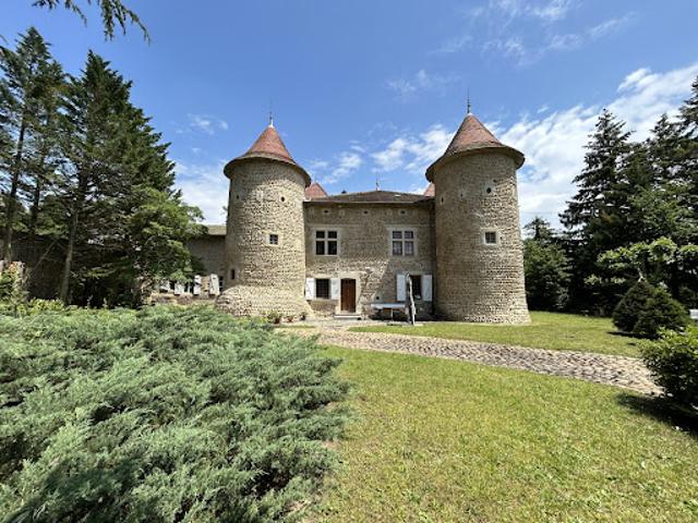 Vente Château 6 pièces 329.9 m2 Albon