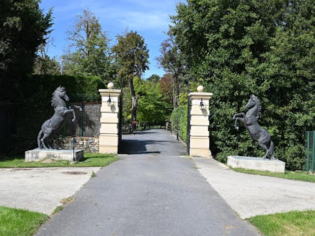 Vente Château 7 pièces 320 m2 Beautheil
