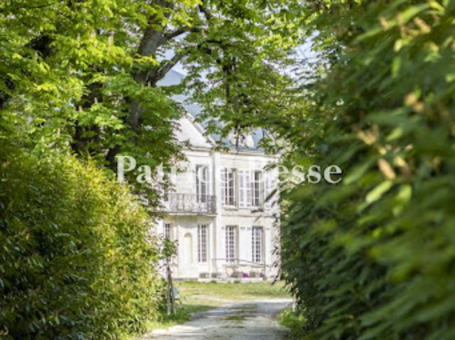 Vente Château 8 pièces 350 m2 Cognac