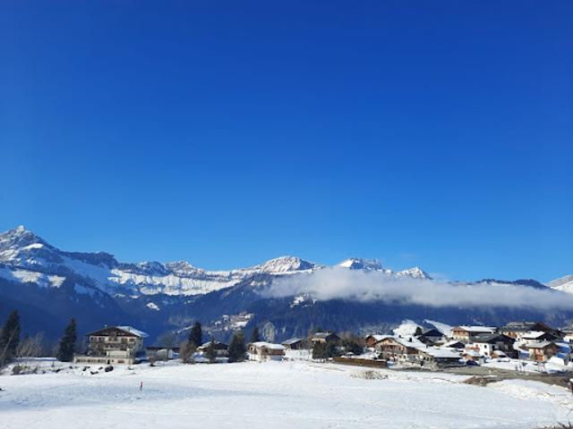 Vente Chalet 10 pièces 244 m2 Crest Voland
