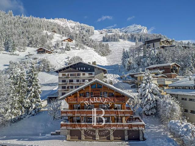Vente Chalet 11 pièces 317.62 m2 La Clusaz