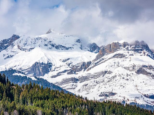 Vente Chalet 7 pièces 420 m2 Demi Quartier