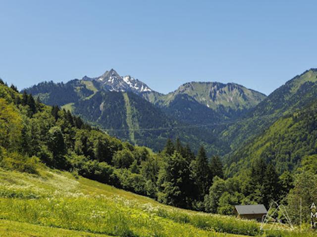 Vente Chalet 5 pièces 216 m2 Saint Jean d'Aulps