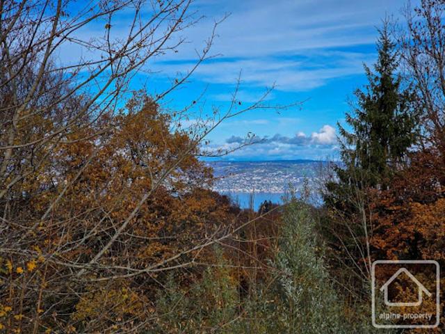 Vente Chalet 5 pièces 84.2 m2 Saint Paul en Chablais