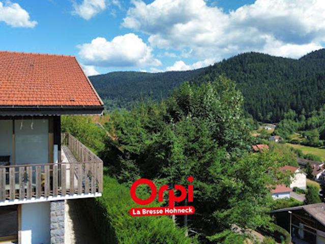 Vente Chalet 8 pièces 233 m2 La Bresse