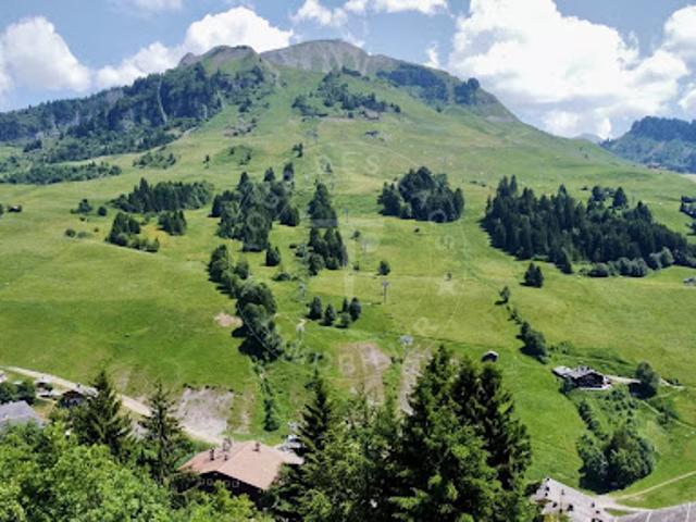 Vente Chalet 9 pièces 425 m2 Le Grand Bornand