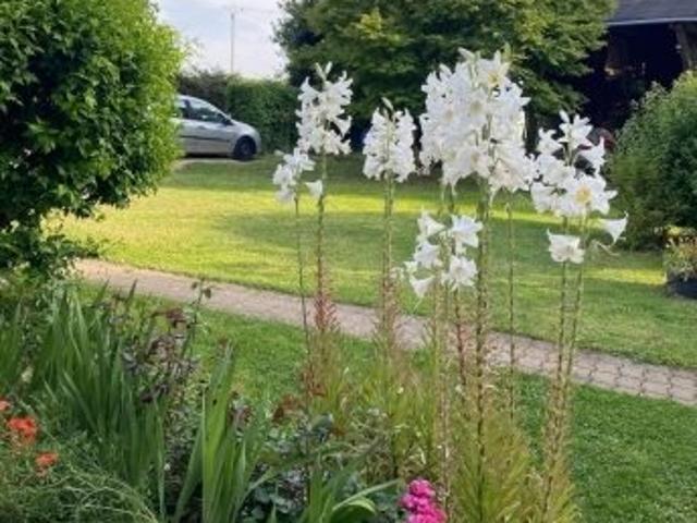 Vente Demeure 10 pièces 260m² Charny