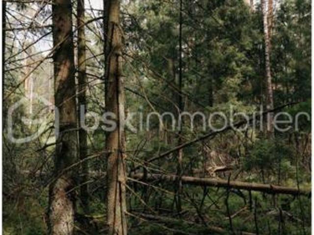 ? Vente – Deux parcelles de bois – 12 865 m² – Peyrignac 24