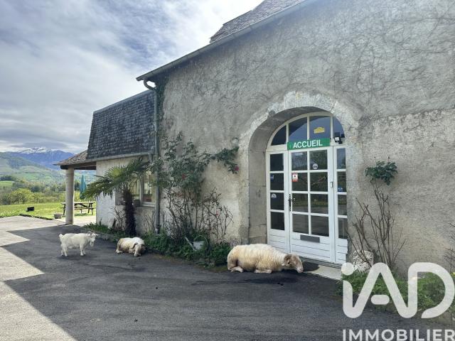 Vente Domaine 16 pièces 830m² Aramits