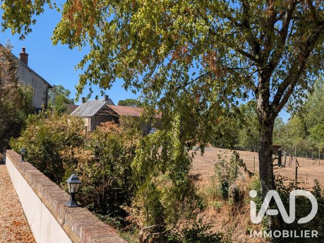 Vente Domaine 10 pièces 407m² Saint Dizier les Domaines