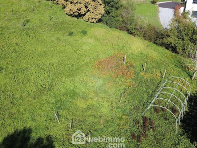 Vente Maison 13 pièces 261 m2 Morlanne