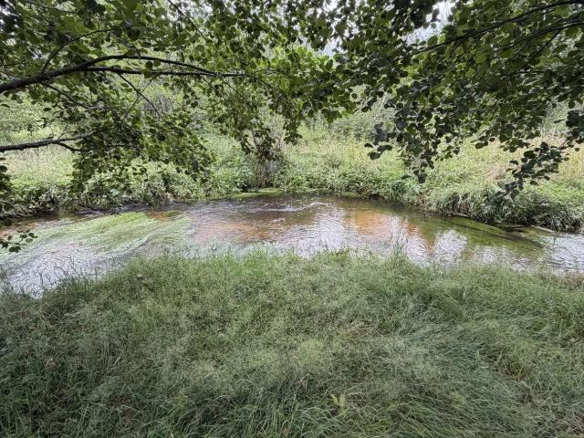 Vente Ferme 170 m² à Hadol 285 000 ¤