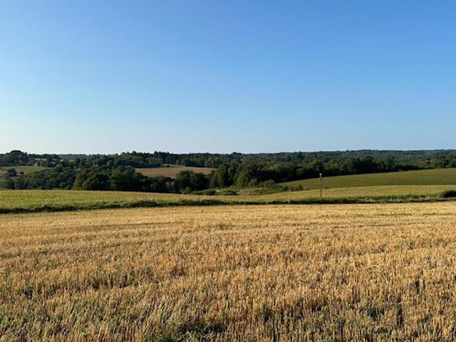 Vente Maison 1 pièce 1600 m2 Payzac