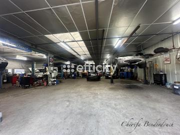 33360, La Seleyre, Gironde, Aquitaine