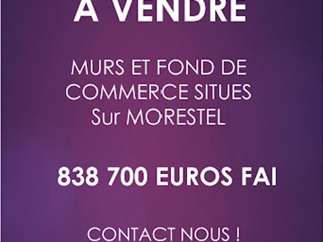 Vente Hôtel particulier 6 pièces 1100 m2 Morestel