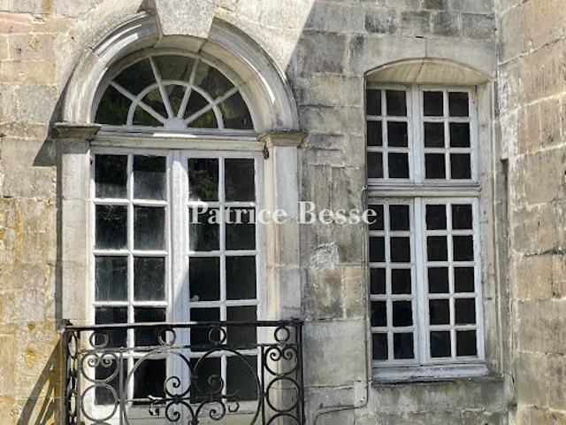 Vente Hôtel particulier 13 pièces 434 m2 Joinville