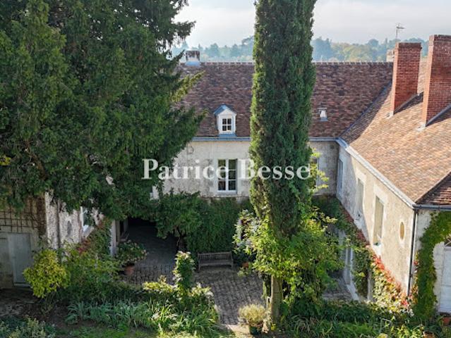 Vente Hôtel particulier 10 pièces 320 m2 Preuilly sur Claise