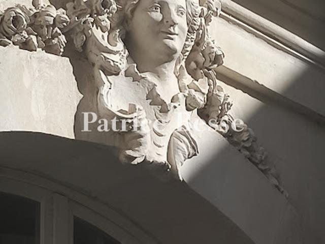 Vente Hôtel particulier 14 pièces 715 m2 Viviers