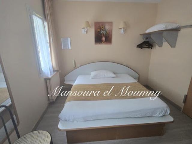 Vente Hôtel particulier 25 pièces 600 m2 Tours
