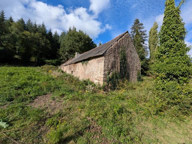 Vente Maison 10 pièces 430 m2 Séglien