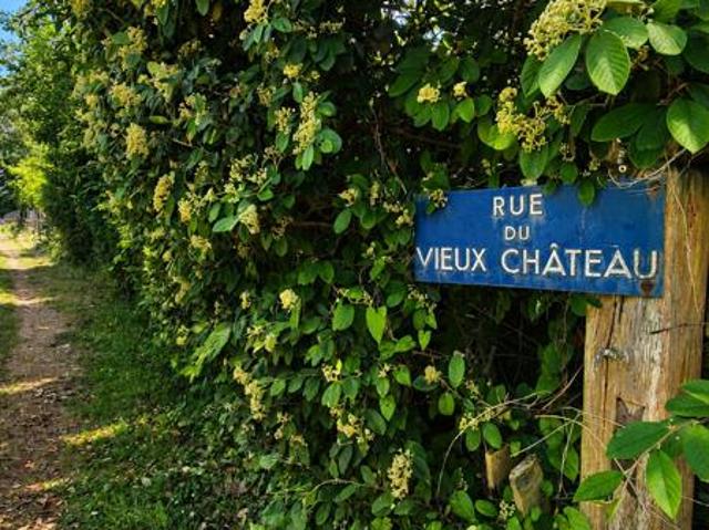 Vente Longère 8 pièces