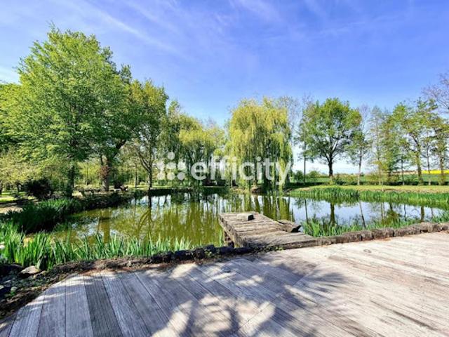 Vente Propriété 9 pièces 250 m2 Piré Chancé