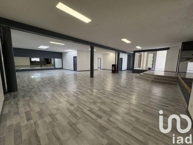 Vente Loft 7 pièces