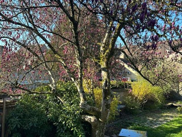 Vente Manoir 12 pièces