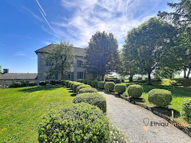 Vente Manoir 12 pièces 616 m2 Colombey les Deux Eglises