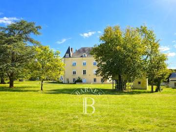 Vente Manoir 14 pièces 665 m2 La Trimouille