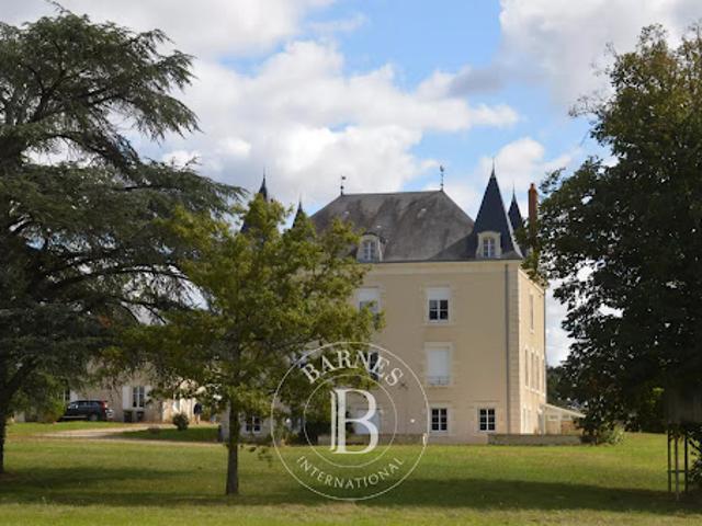 Vente Manoir 14 pièces 665 m2 Montmorillon