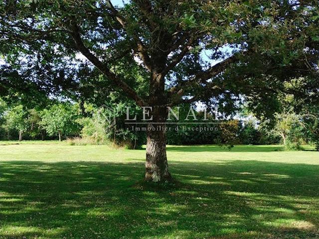 Vente Manoir 18 pièces 540 m2 Craon