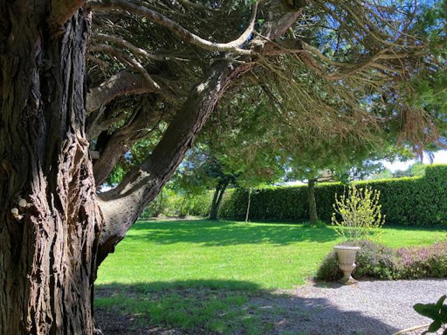 Vente Manoir 9 pièces 220.45 m2 Plélan le Grand