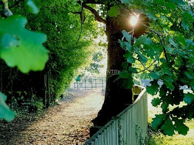 Vente Manoir Dordogne