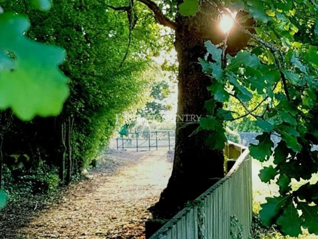 Vente Manoir Dordogne