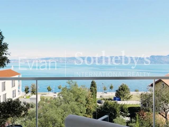 Vente MAGNIFIQUE ATTIQUE FACE LAC NEUVECELLE