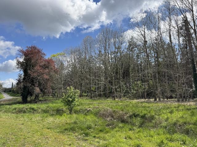 Vente Maison 3 pièces 130 m2 Maransin