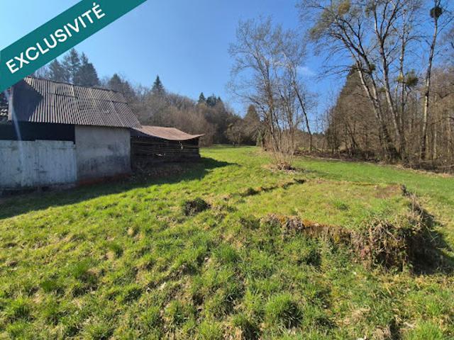 Vente Maison 3 pièces 220 m2 Etueffont