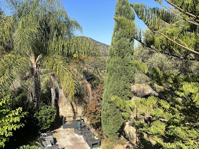 Vente Maison 3 pièces 250 m2 Aregno