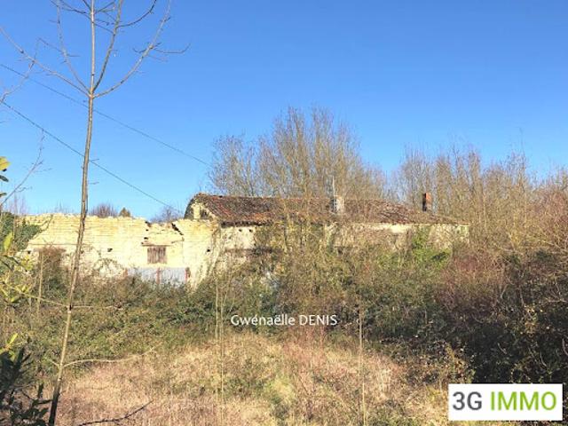 Vente Maison 3 pièces 250 m2 Paizay le Chapt
