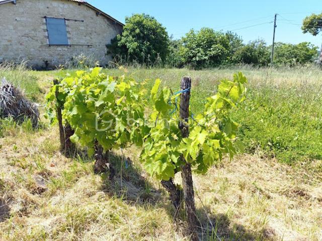 Vente Maison 3 pièces 276 m2 Lachapelle