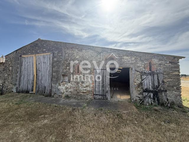 Vente Maison 3 pièces 296 m2 Vieillevigne
