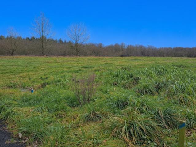 Vente Maison 3 pièces 54 m2 La Marne