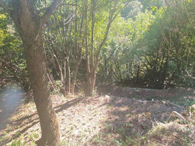 Vente Maison 3 pièces 55 m2 Lodeve
