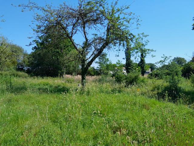 Vente Maison 3 pièces 55 m2 Paimboeuf