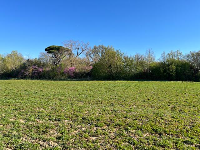 Vente Maison 3 pièces 65 m2 Labastide d'Anjou