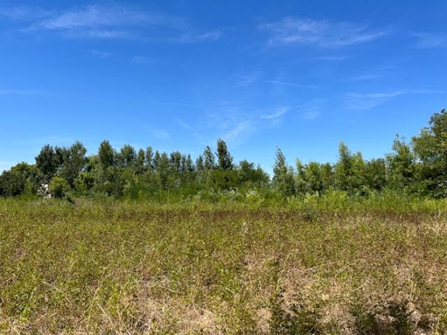 Vente Maison 3 pièces 65 m2 Saint Papoul